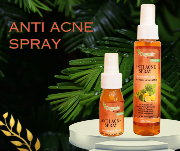 Organic Anti Acne Spray/ Toner